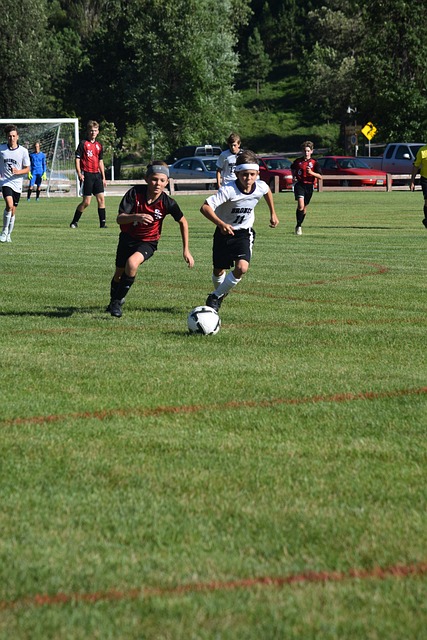 了值得借鉴 了值得借鉴