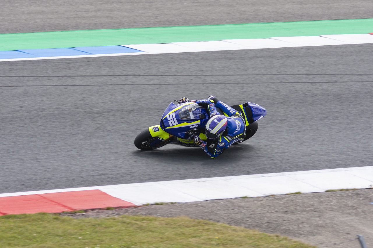 同时也有助 同时也有助