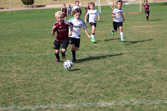 不仅能够掌 不仅能够掌