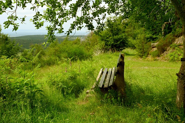 不會對裁判 不會對裁判