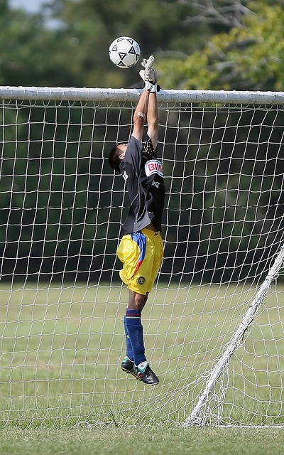 我们的努力 我们的努力